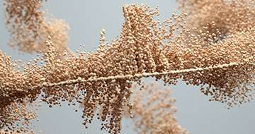 Optimize Target Identification and MOA Studies