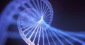 Precision Profiling With PDX