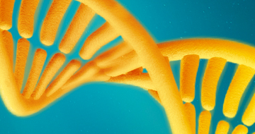 Cell Line Authentication with Deep Sequencing