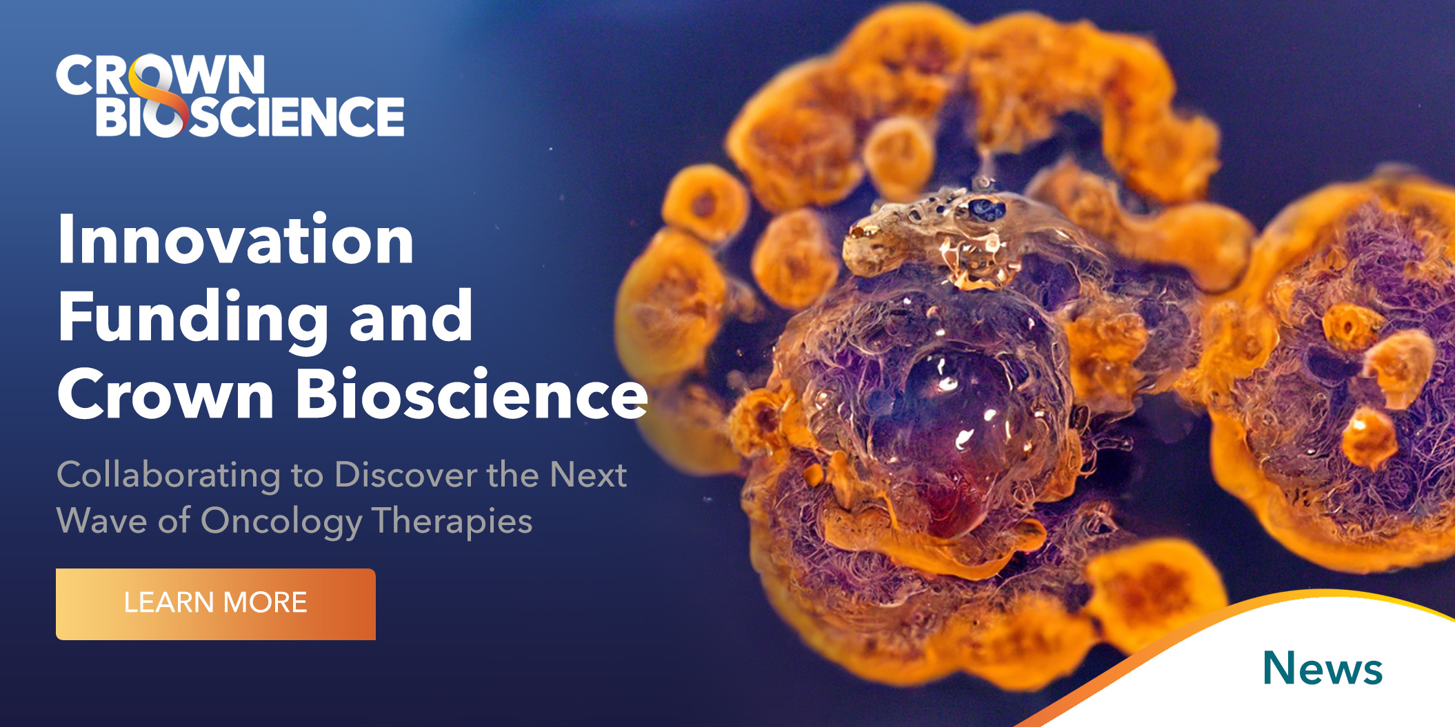 Innovation Funding and Crown Bioscience: Collaborating to Discover the Next Wave of Oncology Therapies