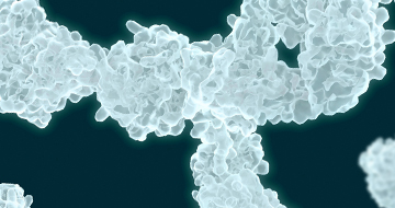 The Importance of Using an Isotype Control