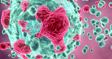 The Ultimate Guide to Mouse Clinical Trials