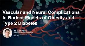 Vascular and Neural Complications in Rodent Models of Obesity and Type 2 Diabetes