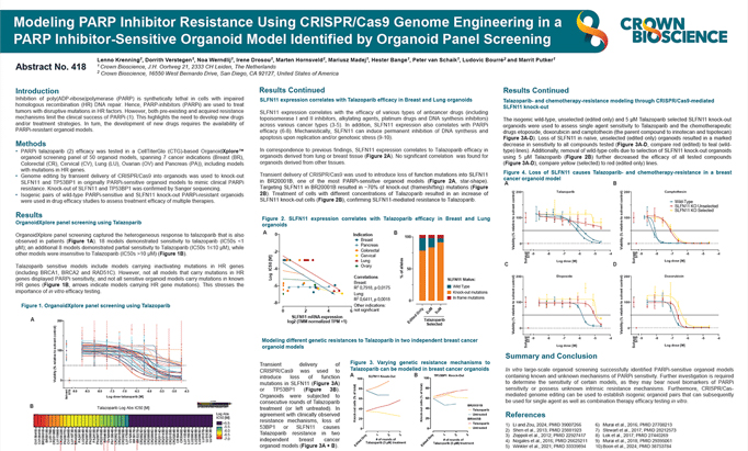 AACR 2025 Poster 418: Assessment of PARP Inhibitor Sensitivity Through Organoid Panel Screening and Resistance Modeling...