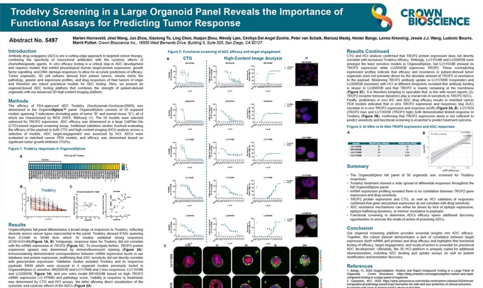 AACR 2025 Poster 5497: Trodelvy Screening in a Large Organoid Panel Reveals the Importance of Functional Assays for Predicting...