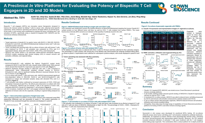 AACR 2025 Poster 7274: A Preclinical In Vitro Platform for Evaluating the Potency of Bispecific T Cell Engager in 2D and 3D Models