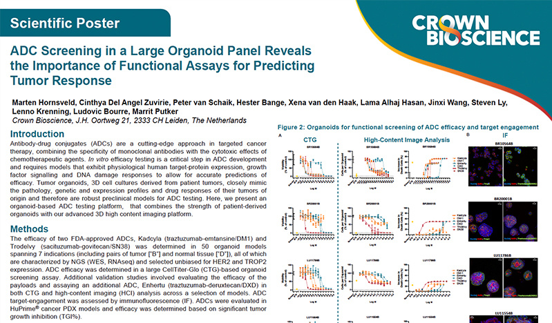 ADC 2024 Poster: ADC Screening in a Large Organoid Panel Reveals the Importance of Functional Assays for...