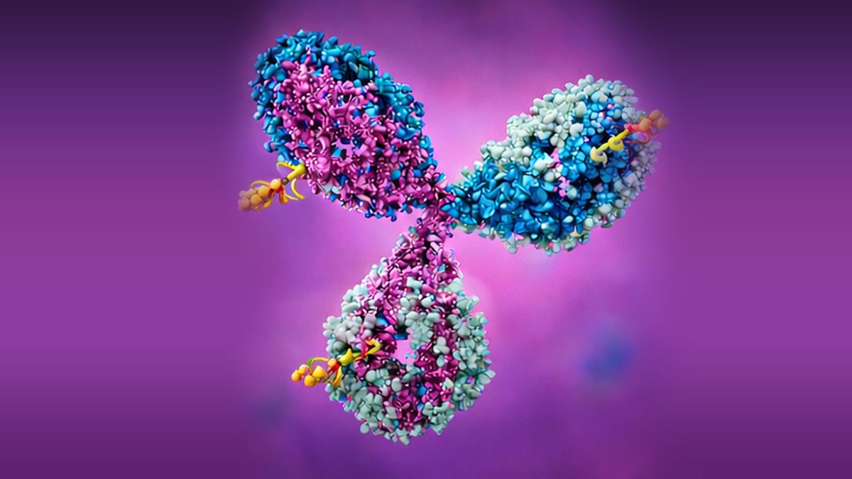 Translational In Vitro & In Vivo Models for ADC Therapeutic Development