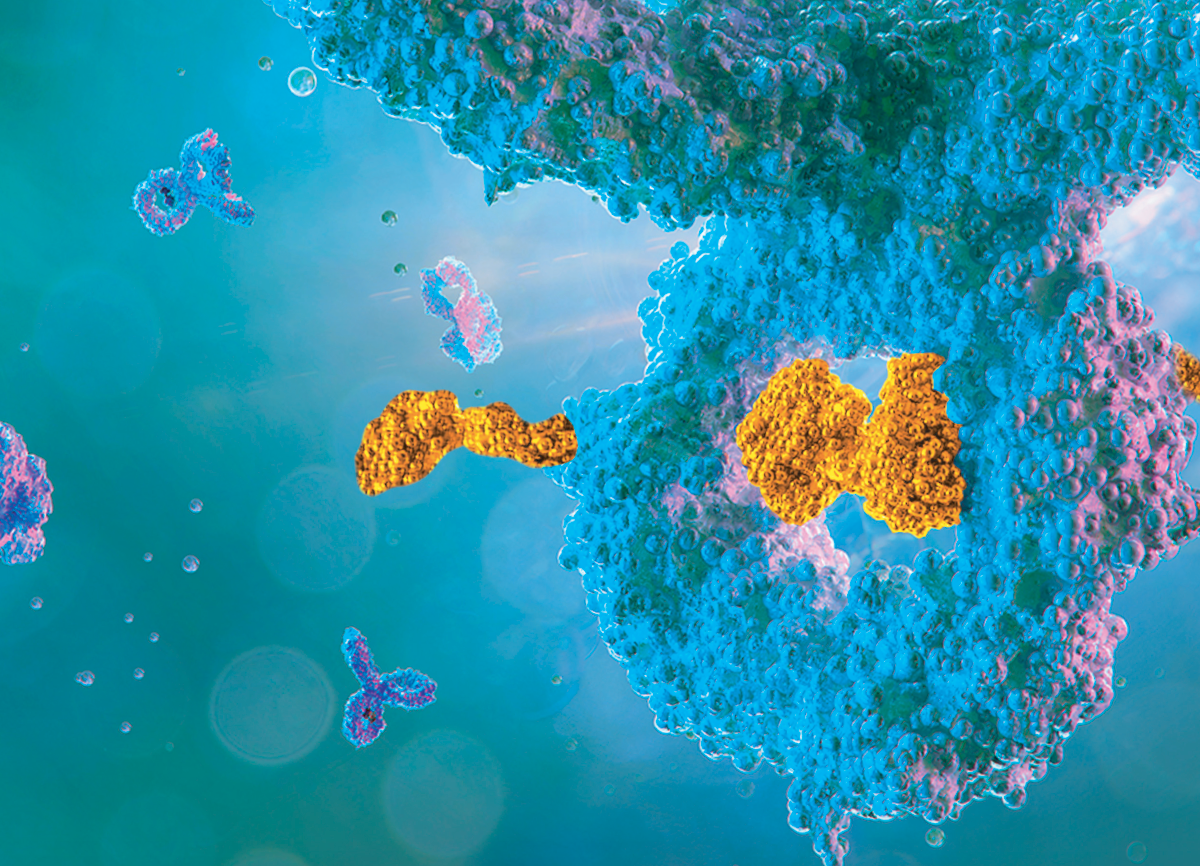 Integrated Translational Services for Antibody-Drug Conjugates Development