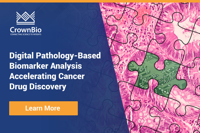 Accelerating Cancer Drug Discovery with Digital Pathology-Based Biomarker Analysis