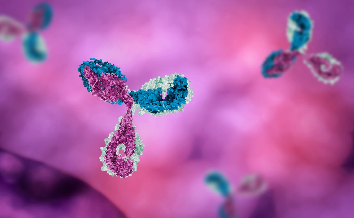 Oncology Antibodies: Primaries and Isotype Controls