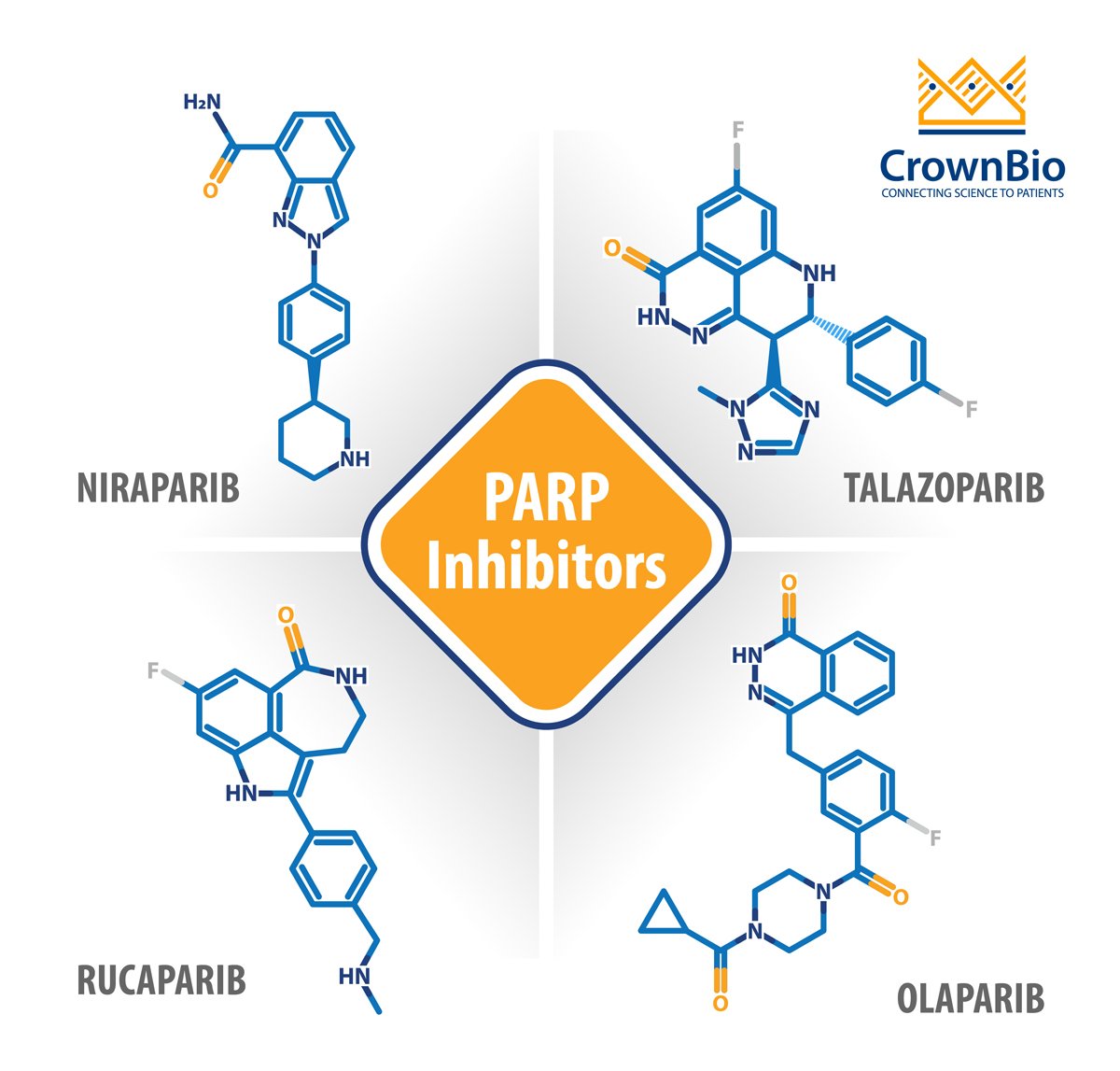 PARP Inhibitors: Where Are We in 2020 and What’s Coming Next?