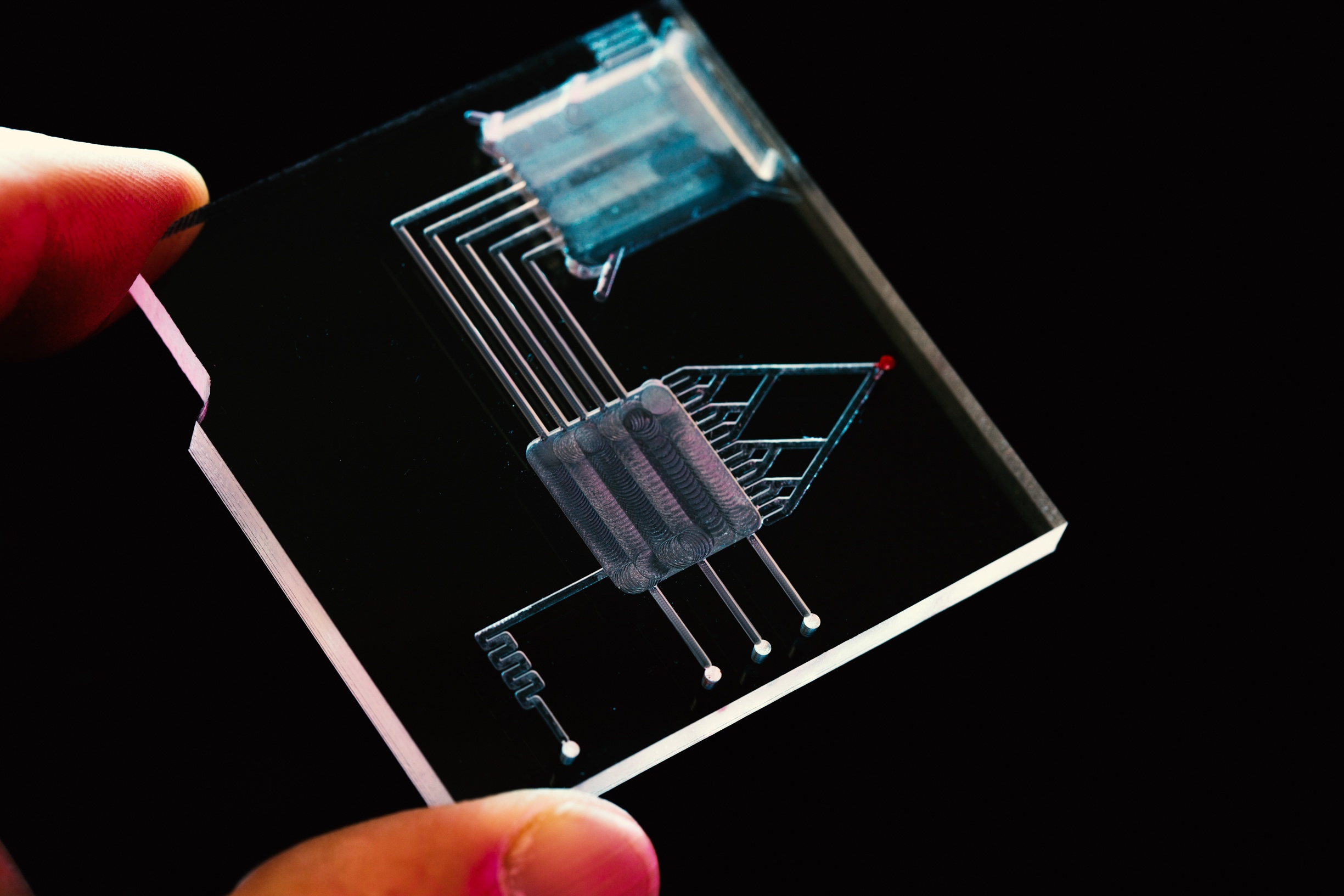 Organ-on-a-Chip: The Future of Improved Drug Discovery?