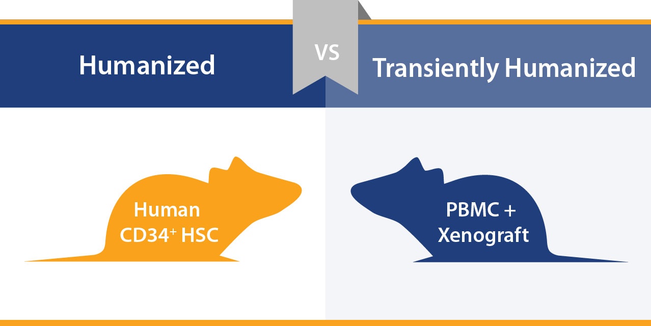 When to Use Stable vs Transiently Humanized I/O Models