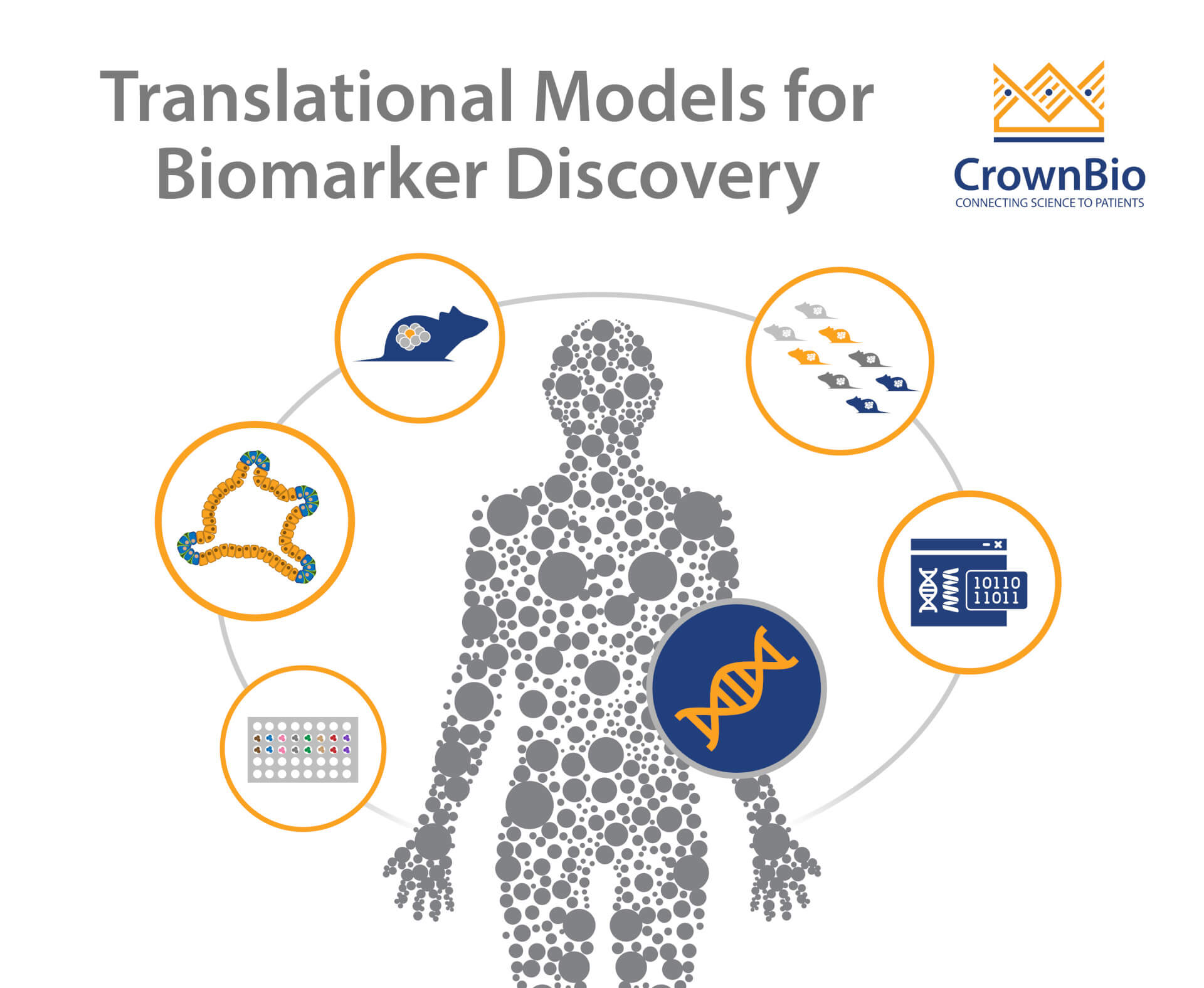 Identify Predictive Biomarkers Using Translational Preclinical Models
