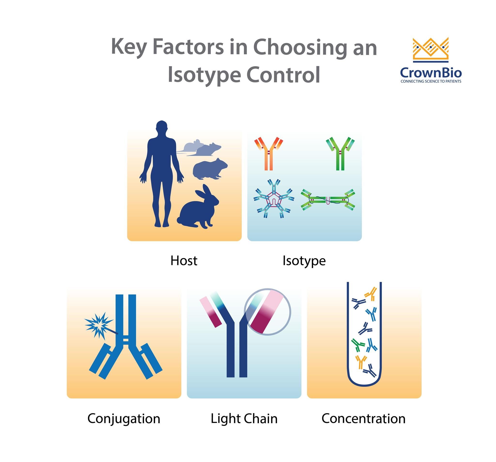 Why to Use Isotype Control Antibodies