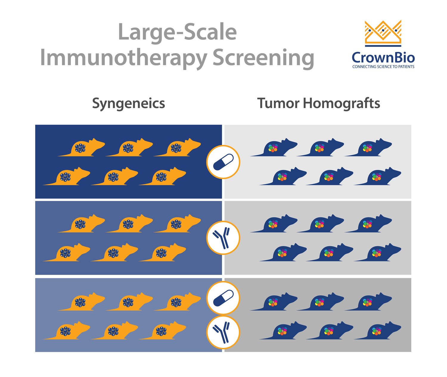 Large-Scale Immunotherapy Screening: How and Why?
