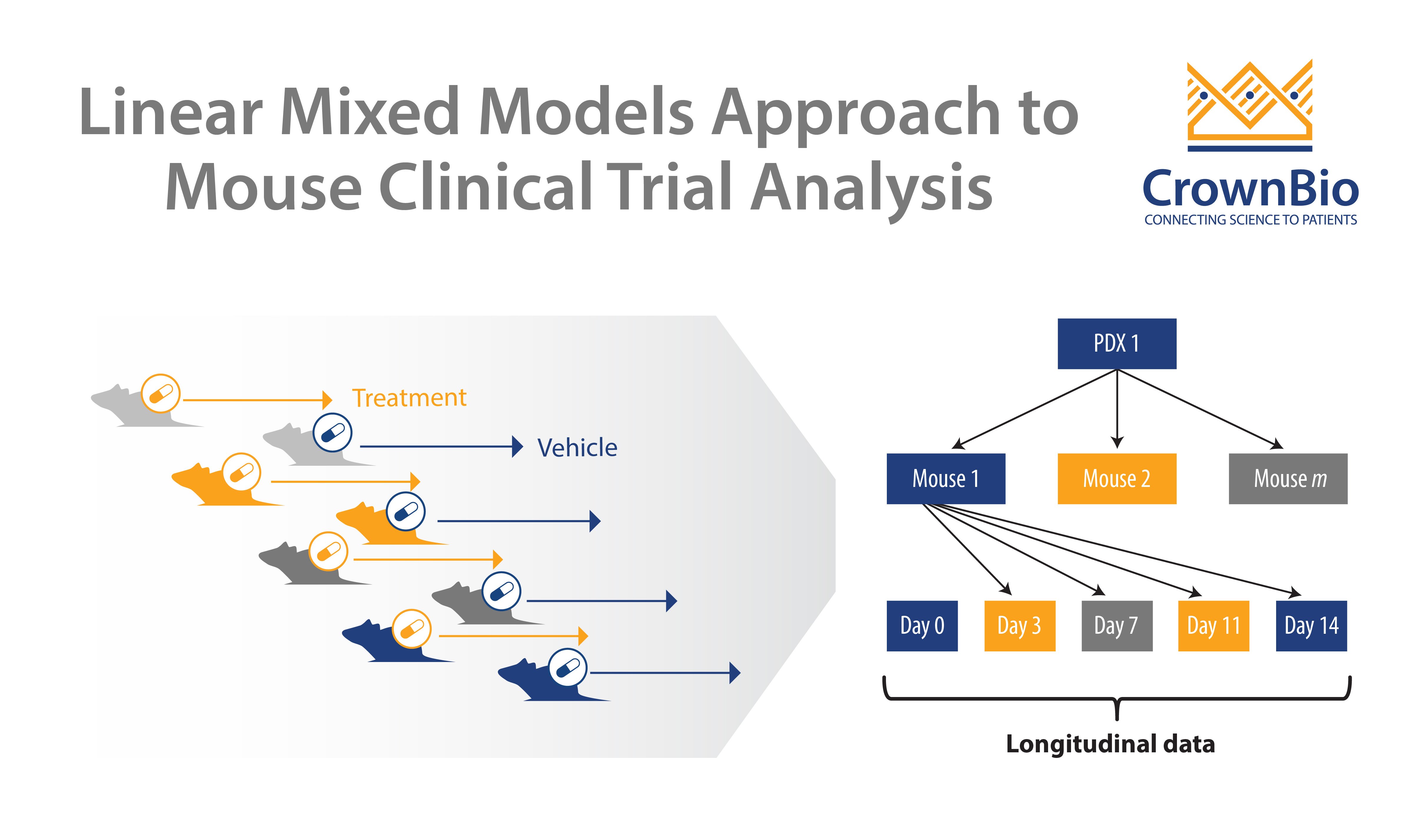 Mouse Clinical Trial Analysis