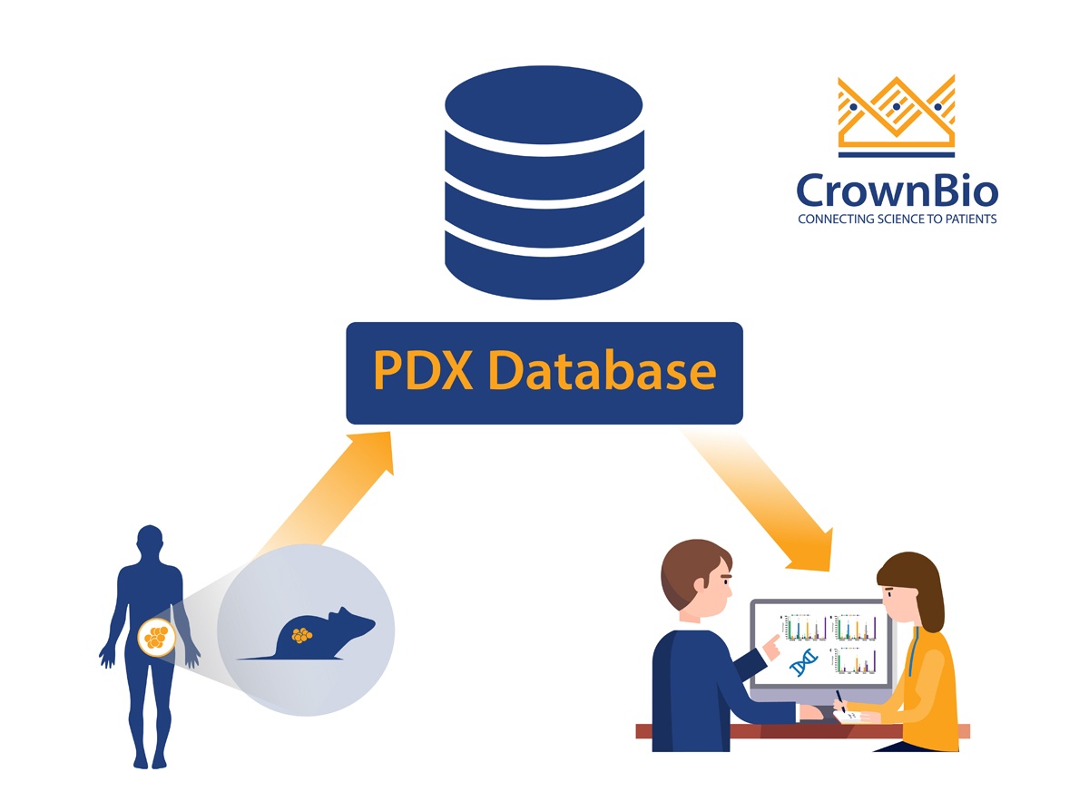 3 Tips to Navigate a PDX Database