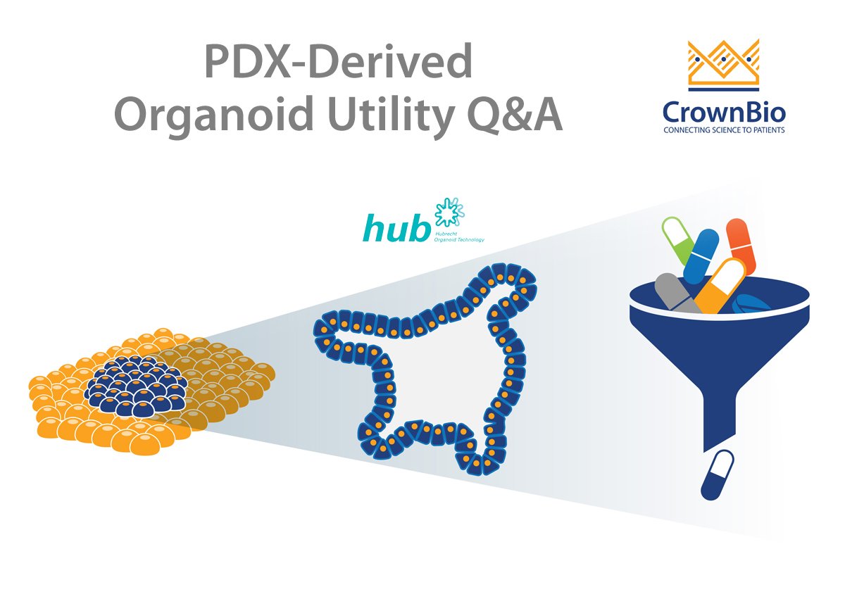 Top 12 Questions: Applications of PDXO