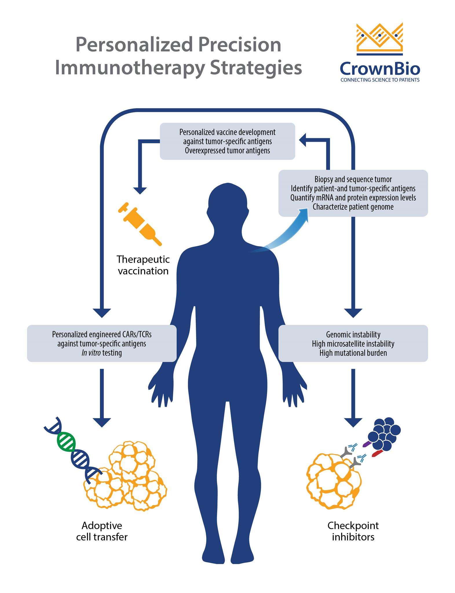 Personalized Cancer Immunotherapy