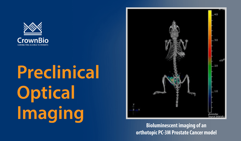 Preclinical Applications for Non-Invasive Imaging Technologies