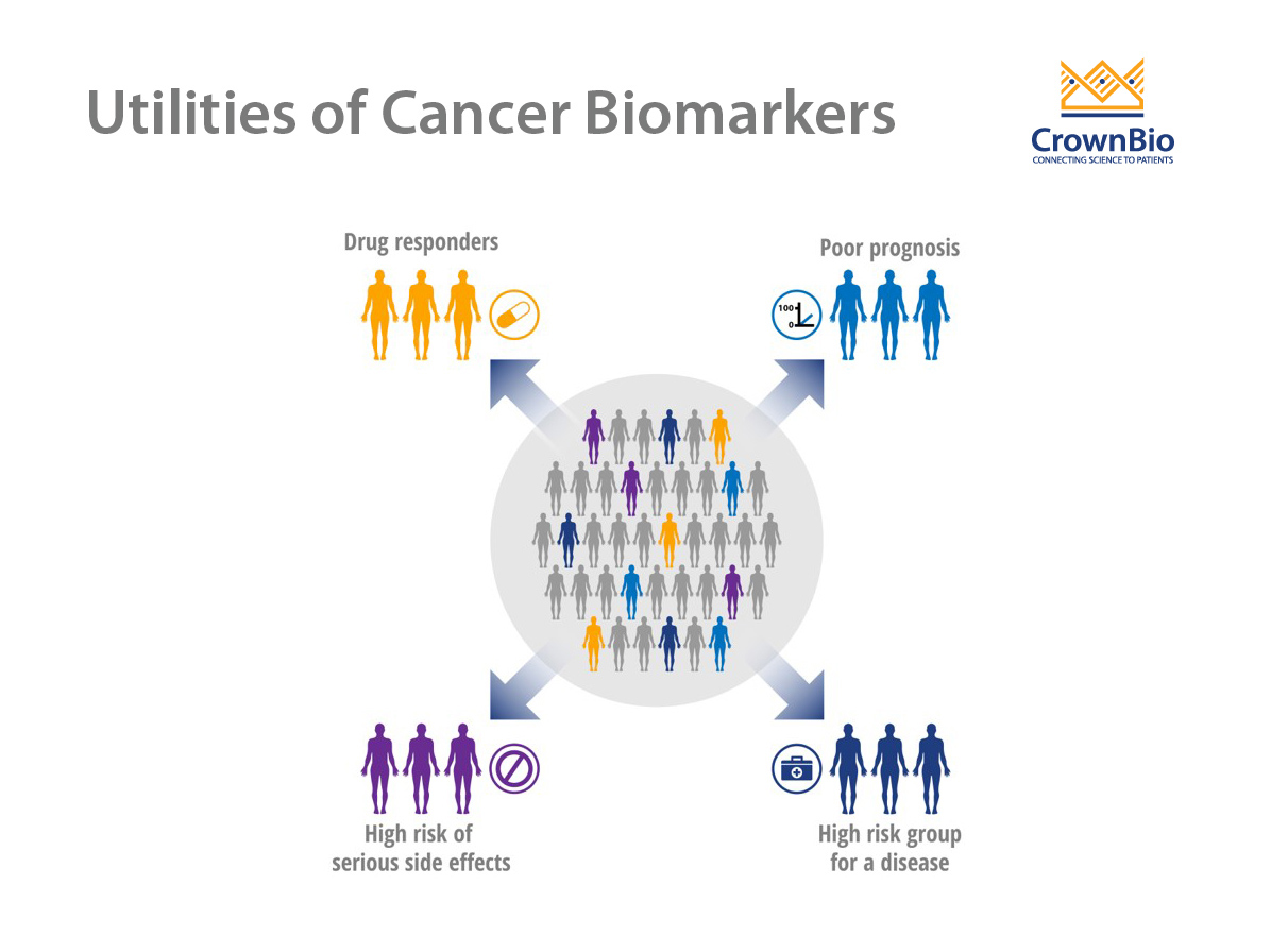 Cancer Biomarkers: Improving Detection and Treatment