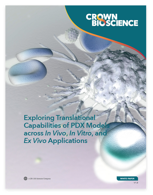 Exploring Translational Capabilities of PDX Models across In Vivo, In Vitro, and Ex Vivo Applications