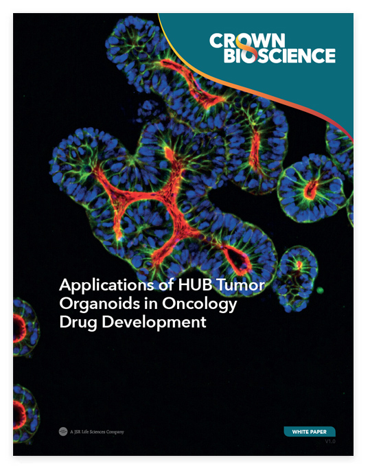 Applications of HUB Tumor Organoids