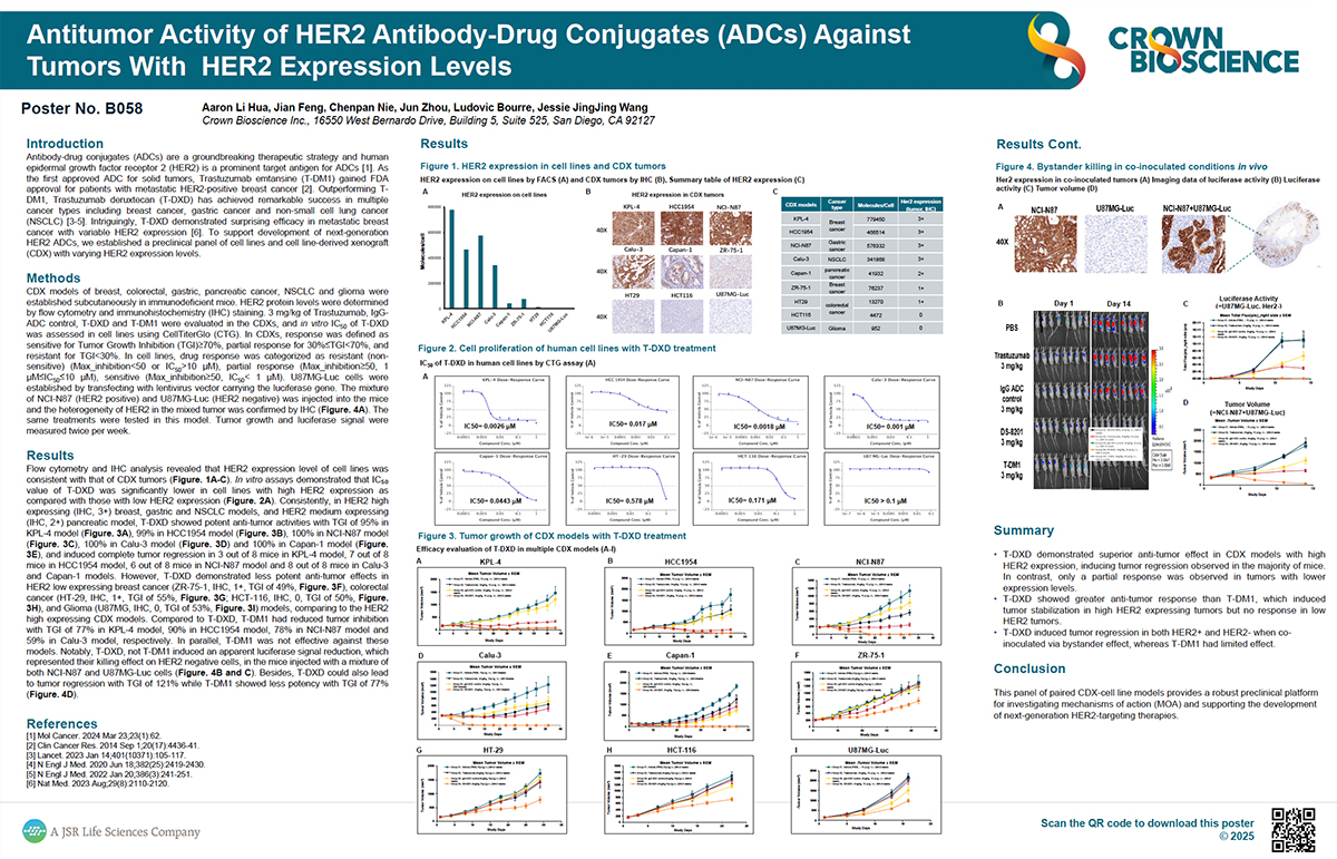 ANE 2025 Poster B058: Antitumor Activity of HER2 Antibody-drug Conjugates (ADCs) Against Tumors with Different HER2 Expression...