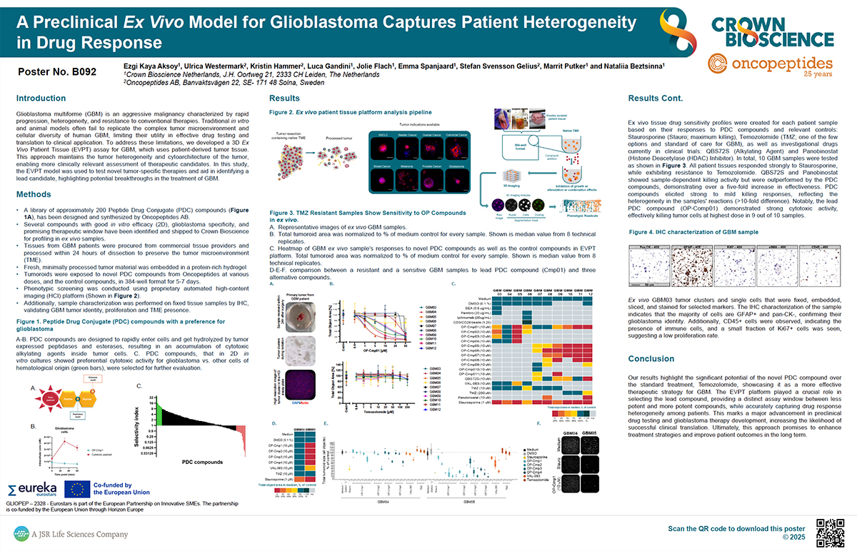 ANE 2025 Poster B092: A Preclinical Ex Vivo Model for Glioblastoma Captures Patient Heterogeneity in Drug Response