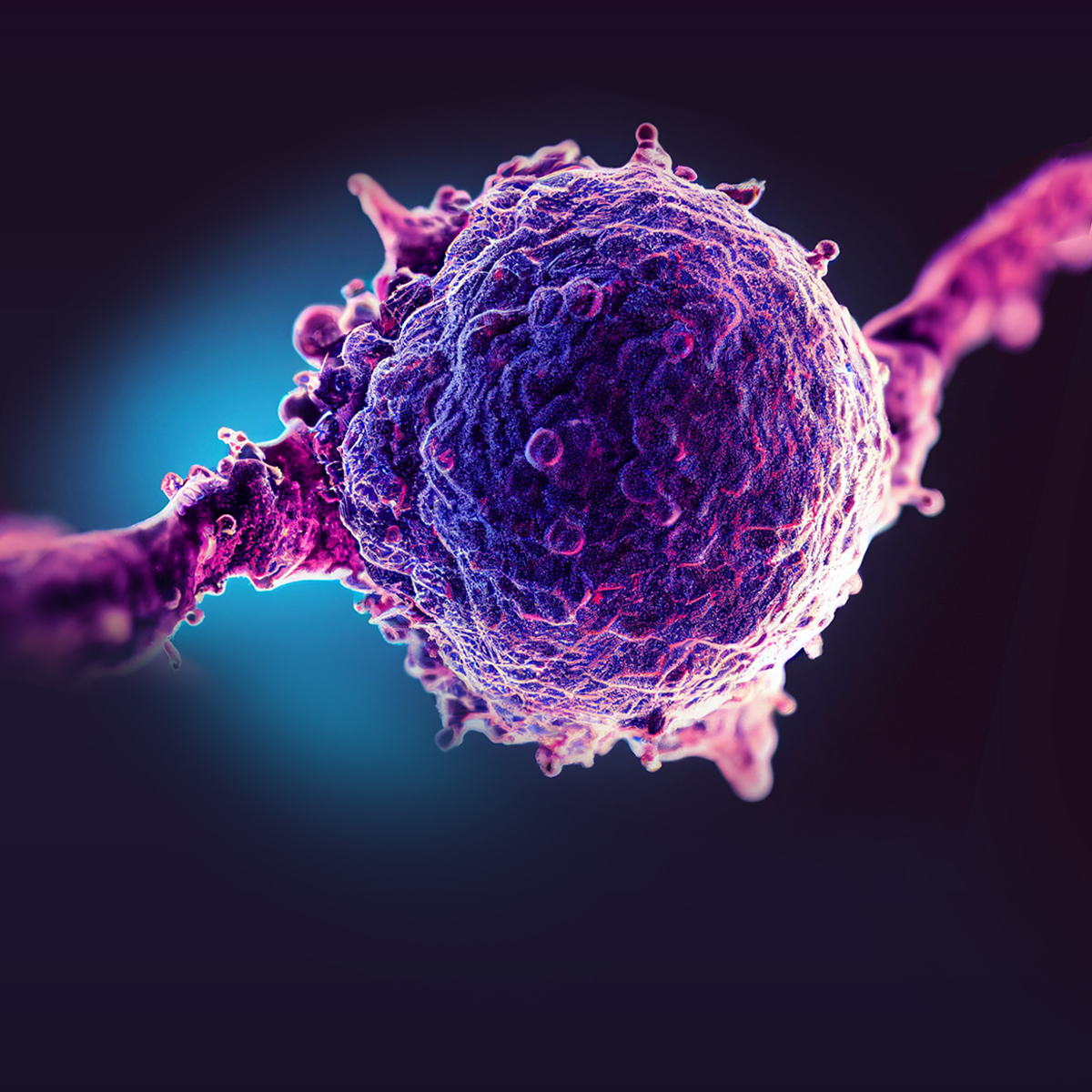 Beyond Checkpoints: Strategic Use of CDX Models in Emerging IO Therapies