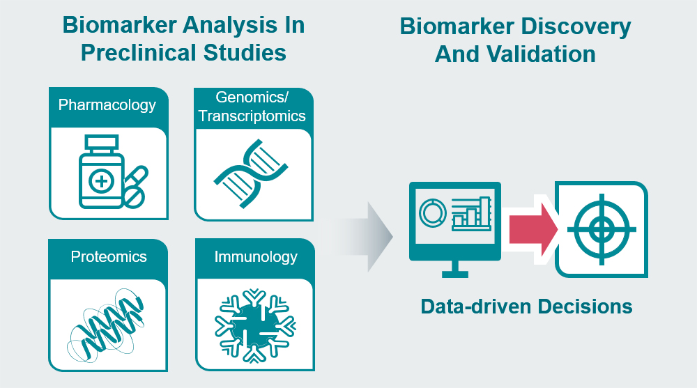 Preclinical biomarker discovery via in vivo and in vitro screening