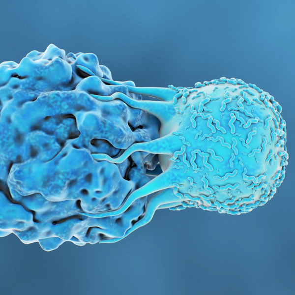 Accelerating Drug Discovery and Development with Flow Cytometry