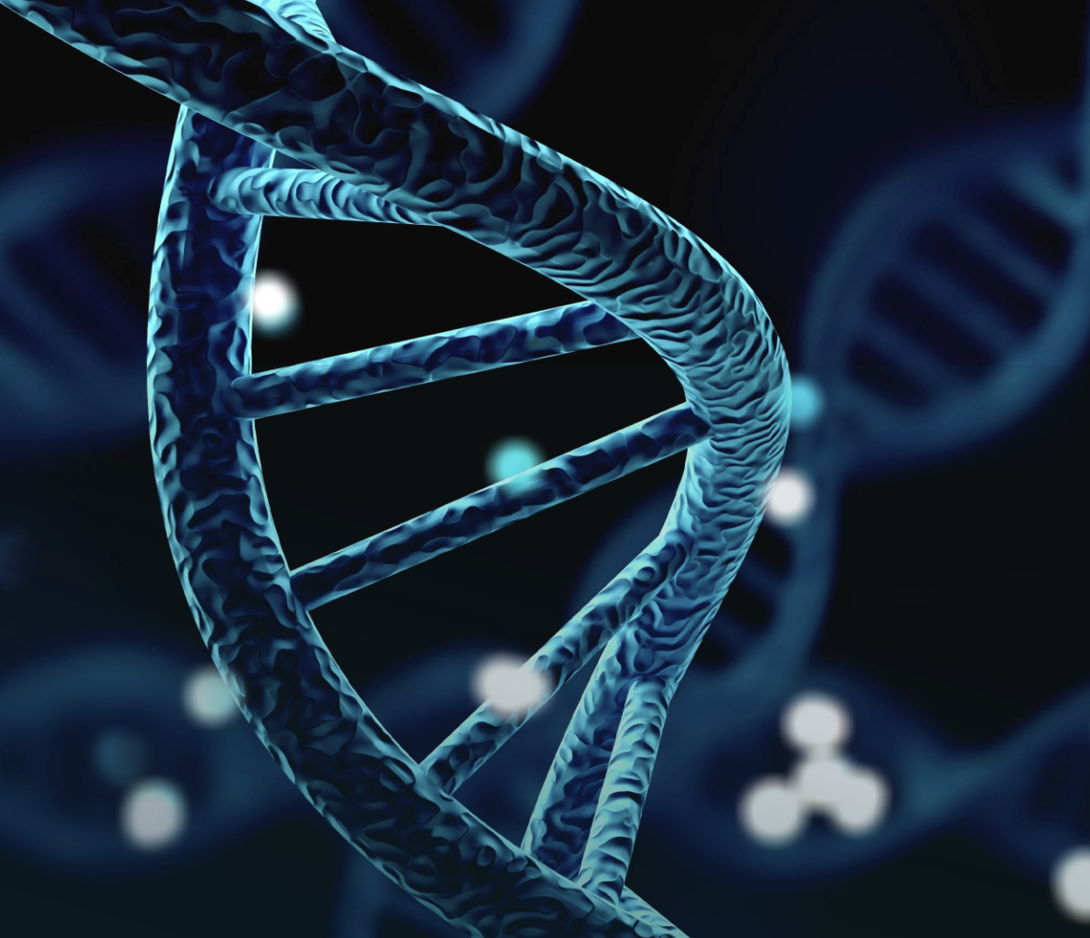 Quality Analysis of Circulating Cell-Free DNA from Crown Bioscience's Plasma Sample Collection