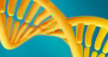 SNP-NGS-QC-Panel-for-Preclinical-Model-and-Cell-line-Authentication