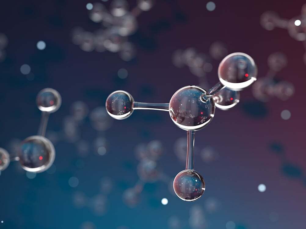 ADC Nonclinical DMPK and Safety Strategies: From Discovery to Translation