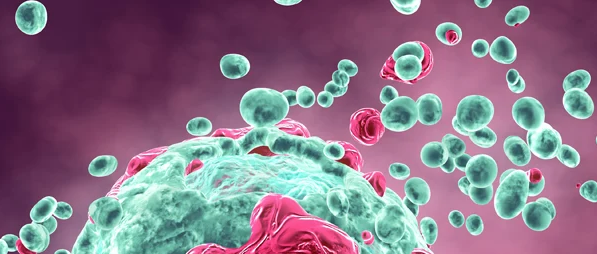 blog2-e1659641264730-1