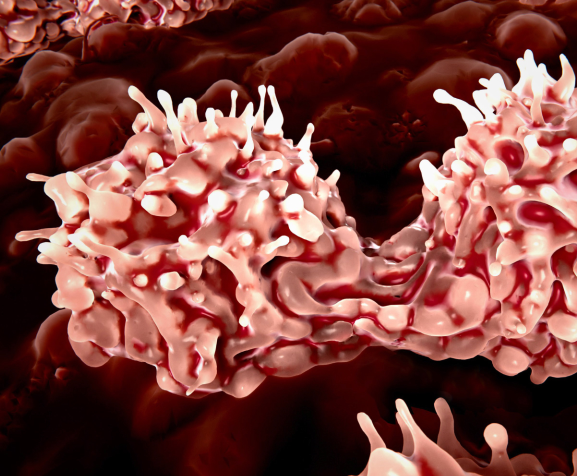 bone-marrow-niche-platform