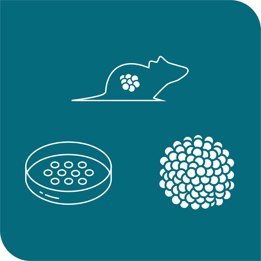 extensive-tumor-model-collection-icon