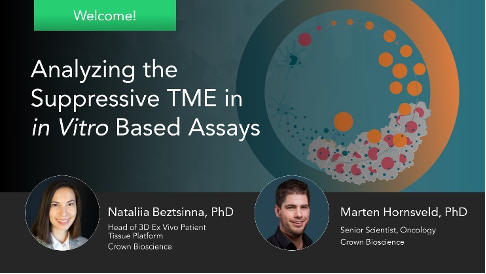 Analyzing the Suppressive TME in in Vitro Based Assays