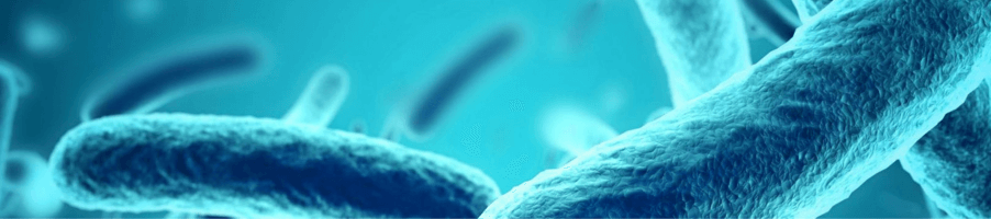 next-generation-sequencing-services