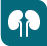 pdx-icon-kidney