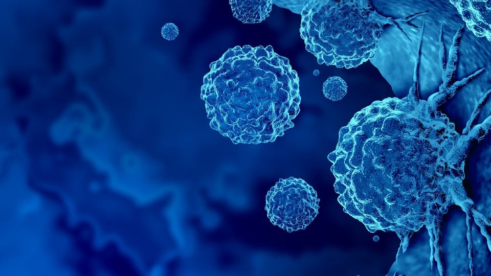 rna-degradation-thumb