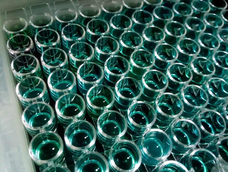 shutterstock_1983553583-2