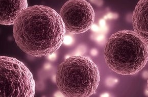 thumb-Cancer Cell Panel Screening