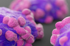 thumb-target-validation