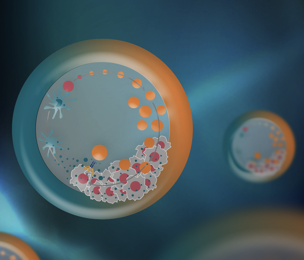 New Technologies, Tools, and Trends for Cancer Immunotherapy Research: A Practical Guide to an Innovative Immuno-oncology Toolbox