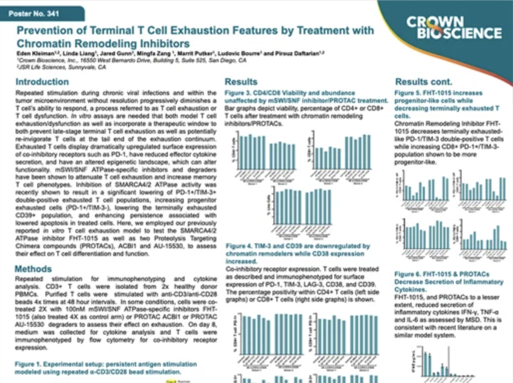 CICON 2023 Poster 341: Prevention of Terminal T Cell Exhaustion Features by Treatment With Chromatin Remodeling Inhibitors