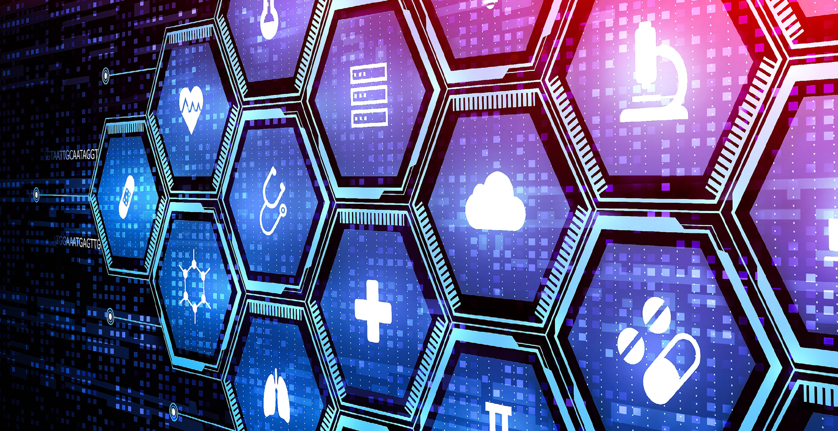 Data Science and Bioinformatics Services